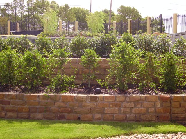 Tracy- wall